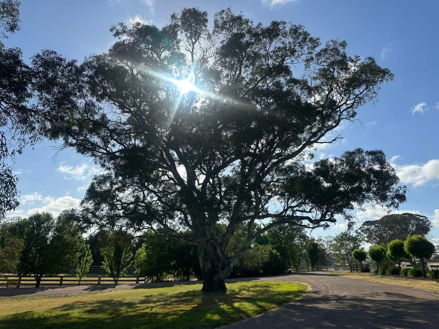 The rural grounds — dam, trees and open paddock